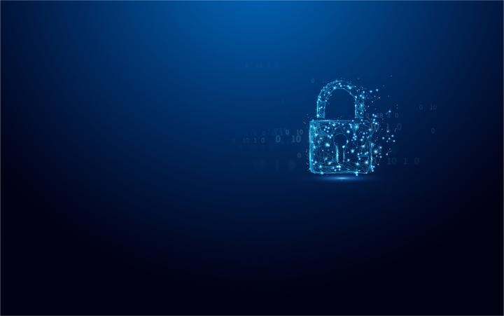 Actual product image Kingston IronKey Vault Privacy 50 (8 GB, USB-A, USB 3.2)