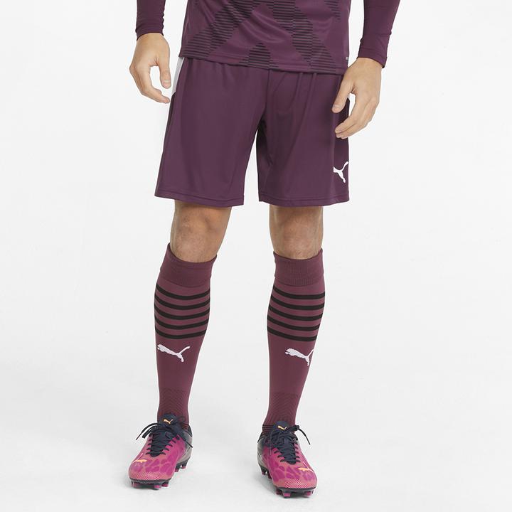 Actual product image Puma teamLIGA shorts (XXL)