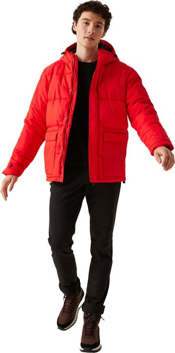 Produktbild Regatta Falkner Steppjacke (L)