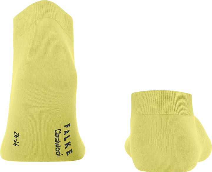 Produktbild Falke ClimaWool Herren (43 - 44)