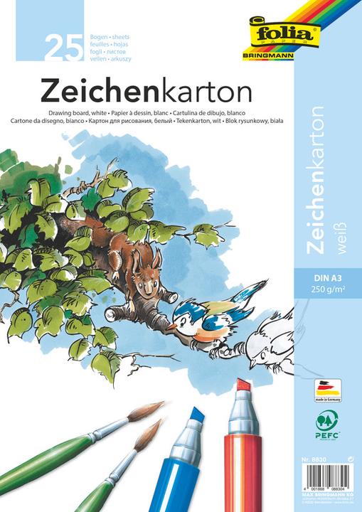 Immagine prodotto Folia Cartone da disegno (250 g/m², 1 x)