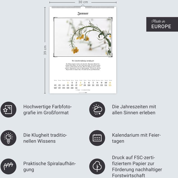 Actual product image Der Hundertjährige Kalender 2026 (30 x 39 cm, German)