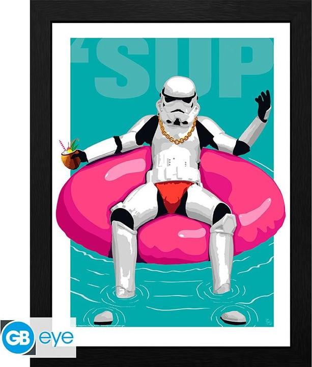 Image du produit GB Eye ORIGINAL STORMTROOPER - Impression encadrée Pool Boy (30x40) x2 (30 x 40 cm)