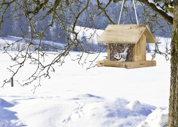 Image du produit Windhager Jardin