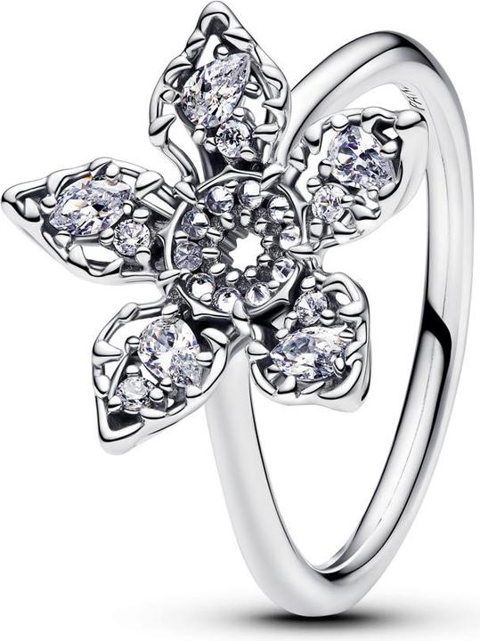 Produktbild Pandora Ring (54, 925 Silber)