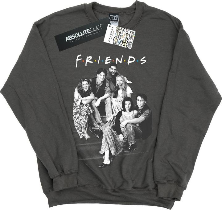 Actual product image Friends Womens/Ladies Group Stairs Sweatshirt (XL)