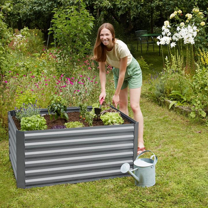 Image du produit tectake Lit surélevé en zinc pour la salvia