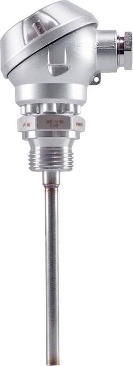 Actual product image Jumo Resistance thermometer