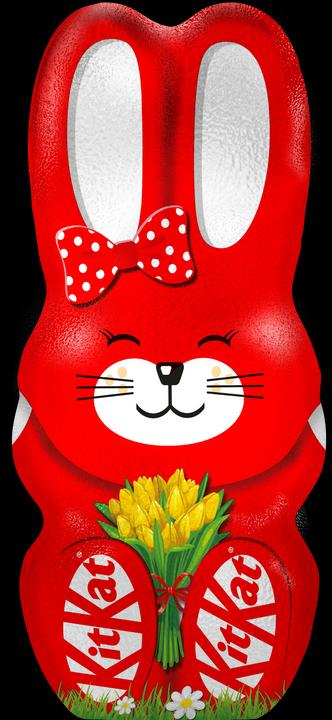 Actual product image Kitkat Easter Bunny (88 g)