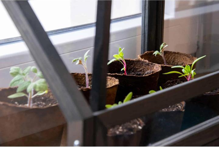 Image du produit Dobar Mini-serre avec pots
