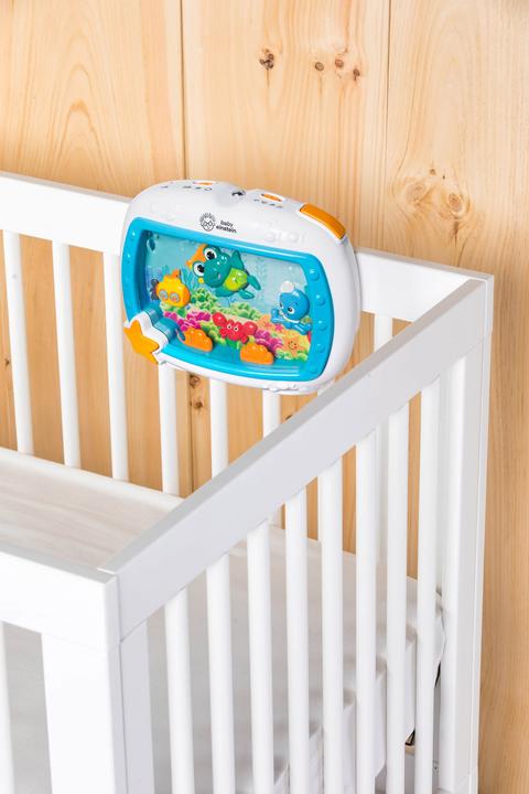 Actual product image Baby Einstein Sea dreams soother