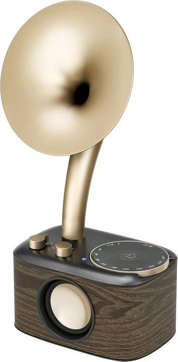 Produktbild Sangean WR-45X Gold Radio VHF (FM) AUX, Bluetooth Oplaadbaar Zwart, Goud (FM, VHF, Bluetooth)