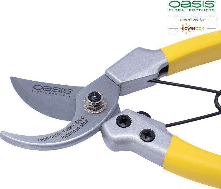 Actual product image Oasis Florist scissors