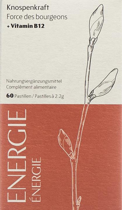 Produktbild Heidak Knospenkraft Pastillen Energie (60 Stück, Pastillen, 287 g)
