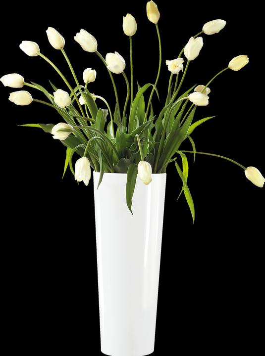 Immagine prodotto ASA Selection bianco (1 x)
