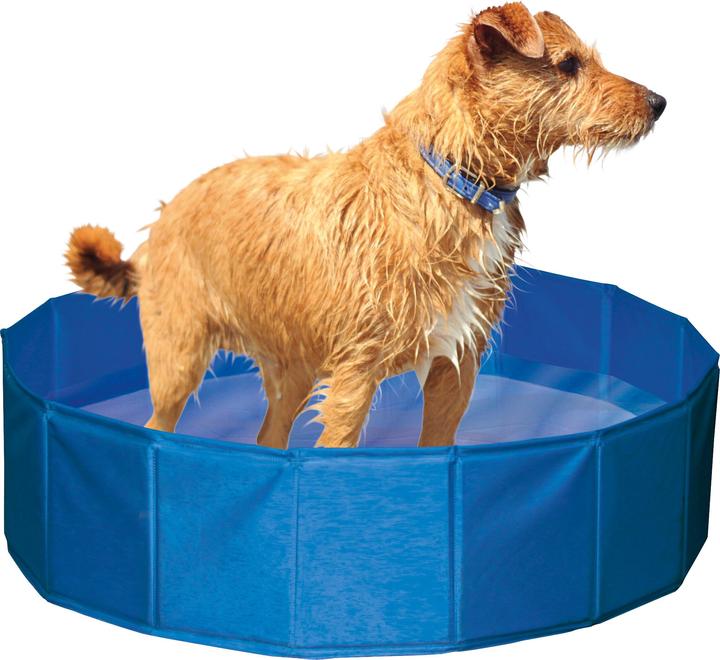 Immagine prodotto Kerbl Piscina per cani (Piscina per cani)
