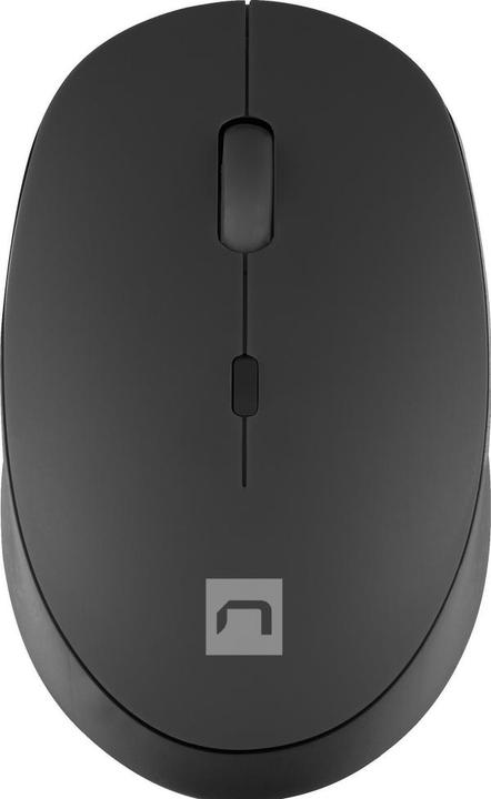 Maus