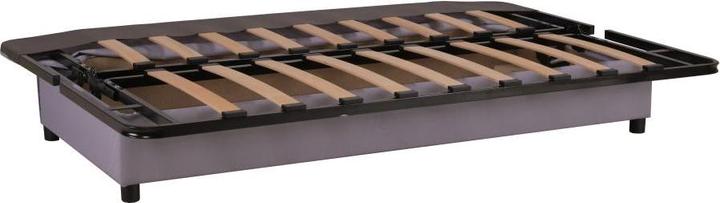 Actual product image Vente-unique Farwest (Sofa bed)
