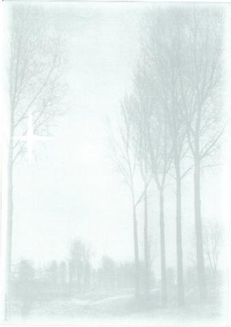 Produktbild Artoz Papier Design Trauer Birken (90 g/m²)