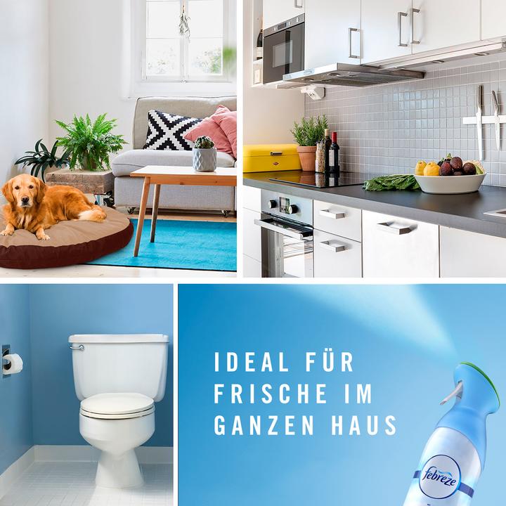 Actual product image Febreze Apple cinnamon