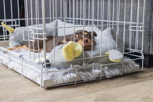 Immagine prodotto Beeztees Gabbia per cuccioli (Cane, Lavabile, Riflettori)