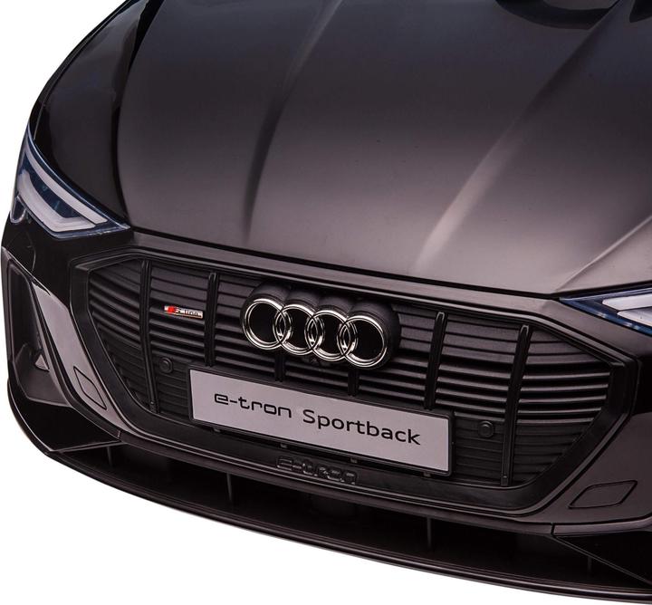 Actual product image Jamb Audi e-tron (12 V)