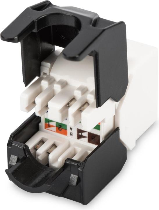 Actual product image Digitus CAT 6A Keystone Module, unshielded (Keystone module)