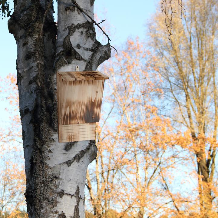 Actual product image Relaxdays Bat box