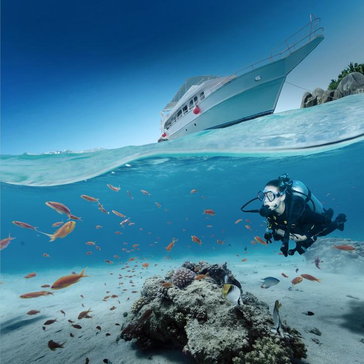 Produktbild mantona Deep Dive GoPro Hero 8 (GoPro Hero 8)