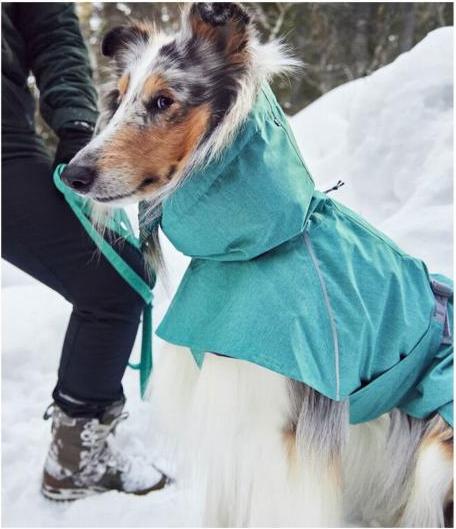 Actual product image Hurtta Monsoon V2 Eco green mackintosh, 70 cm (70, Dog raincoat)