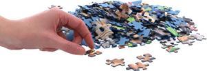 Produktbild Ravensburger Bitte lächeln (300 Teile)