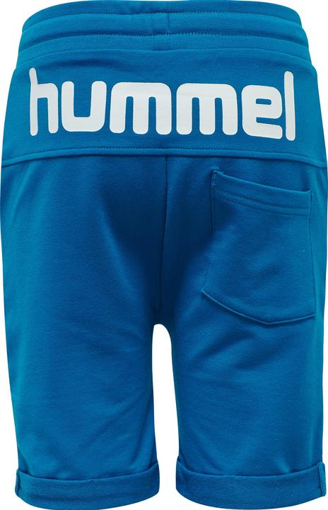 Image du produit hummel Flicker Shorts (110)