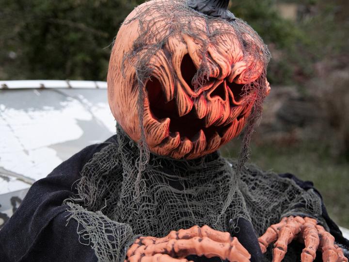 Produktbild Europalms Halloween Kürbis-Monster