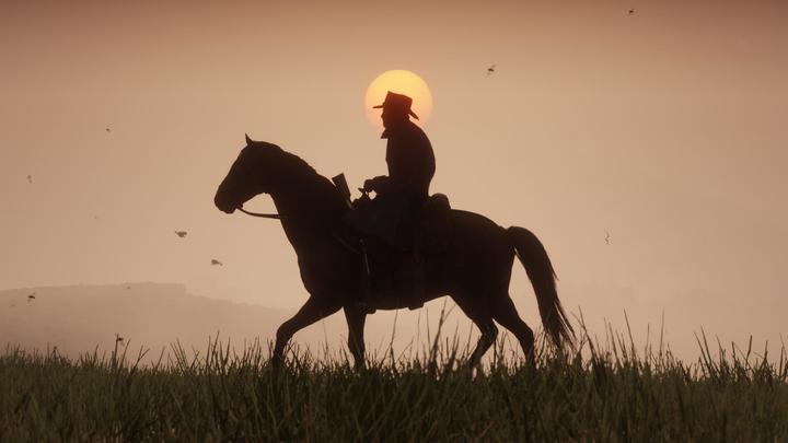 Image du produit Rockstar Red Dead Redemption 2 (PS4, EN)