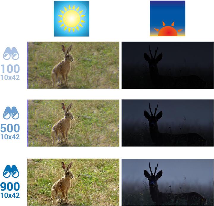 Actual product image Solognac 500 (10 x)