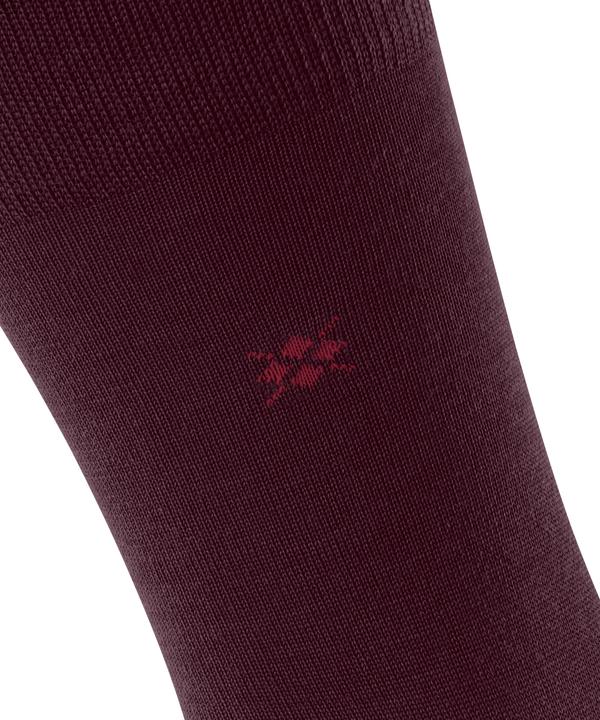Actual product image Burlington Leeds So (Single pack, 40 - 46)