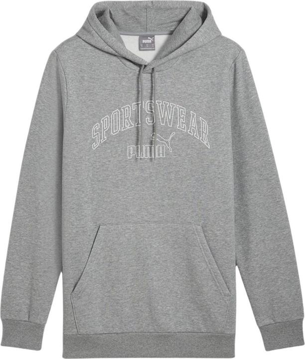Puma Bluza męska Ess+ Logo LAB Gradient Hoodie FL szara 681775 03 L (L)