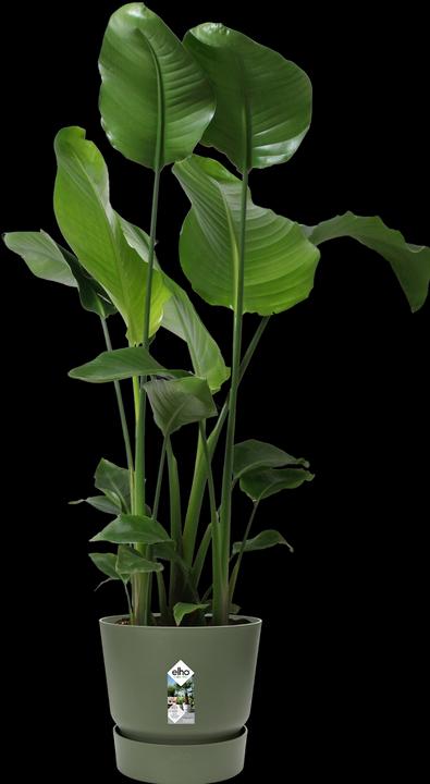 Image du produit Elho pots de fleurs (29.50 cm)
