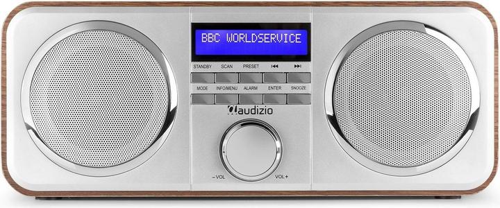Actual product image Audizio Novara Silber (FM, DAB+)