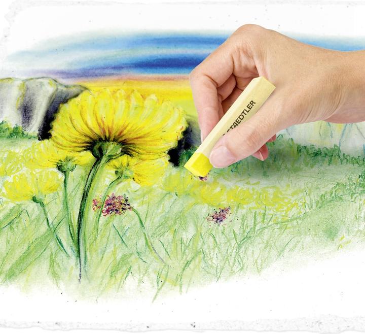 Image du produit Staedtler 2430 Craie pastel douce Étui de 36 pièces, assorti (Couleurs assorties, 36 x)
