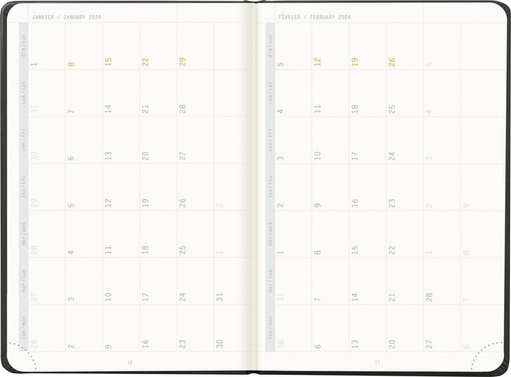 Actual product image Rhodia Webplanner 2024 (10 x 15 cm)