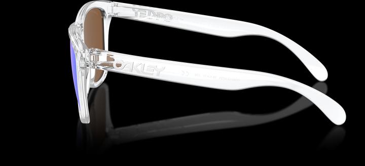 Actual product image Oakley Frogskins