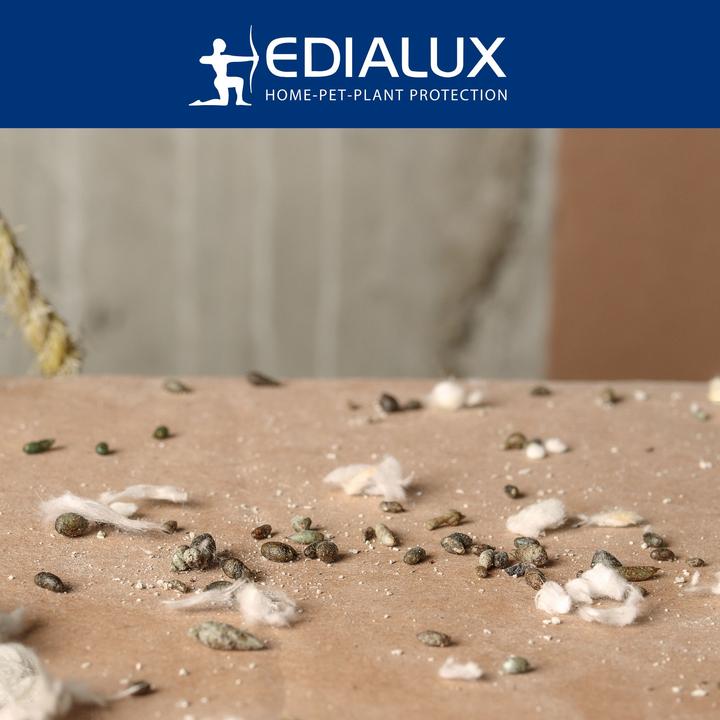 Produktbild Edialux Quicksnap Mausefalle, Promopack 4+2 St?ck