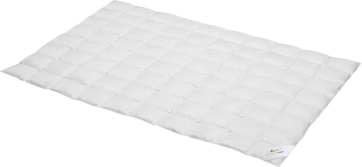 BettwarenShop Select (240 g, 135x200 cm)