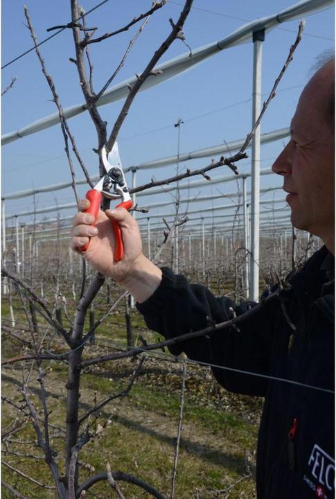 Produktbild Felco Gartenschere 7