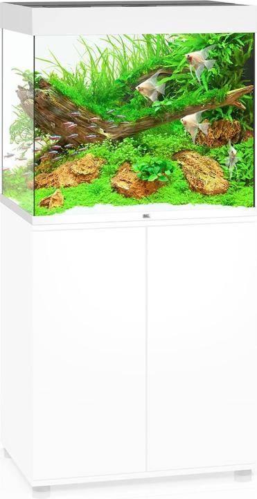 Image du produit Juwel Aquarium Aquarium Lido 200 70x51x65cm blanc (200 l)