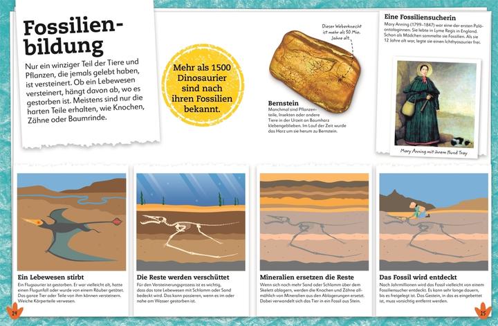 Produktbild Dinosaurier (Deutsch, DK Verlag - Kids, Dean Lomax, Eva Sixt, 2021)