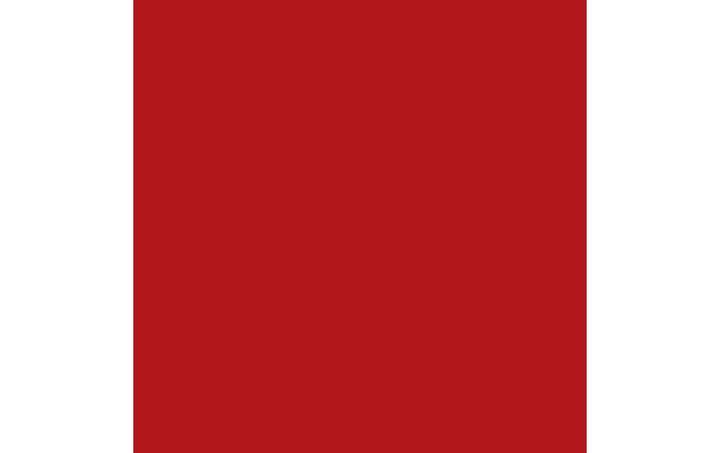 Immagine prodotto Amsterdam Vernice acrilica Serie Standard 399 (Rosso Naftolo Scuro, 120 ml)
