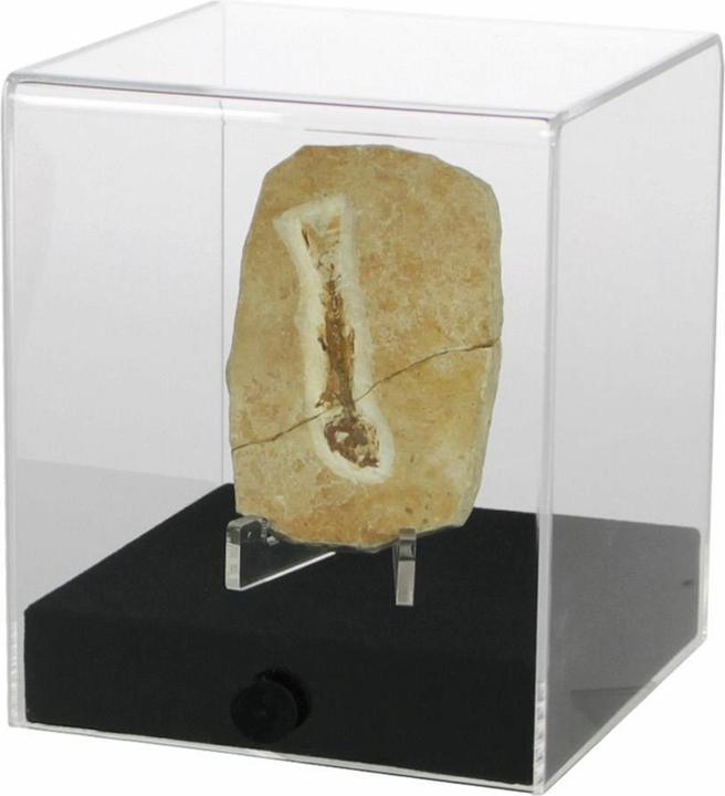 Actual product image Safe Acrylic display case cube 12 x 12 x 14 cm