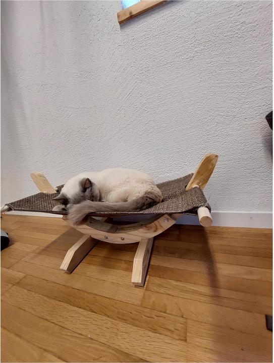 Image du produit Kerbl Hamac SIESTA (Chat)